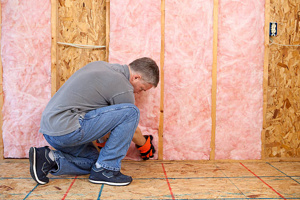 Best Basement Insulation  in Three Oaks, FL